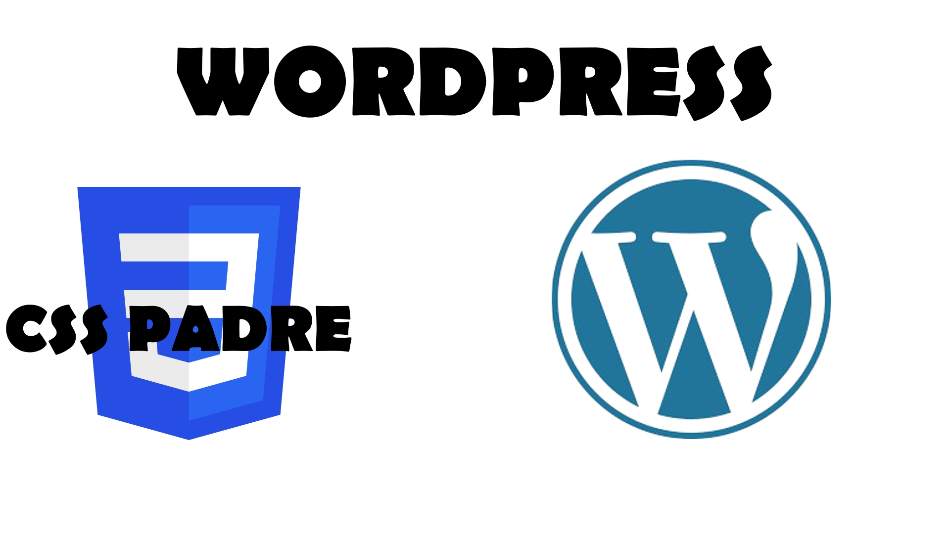 MINIATURA PROGRAMACIÓN WORDPRESS CSS PADRE